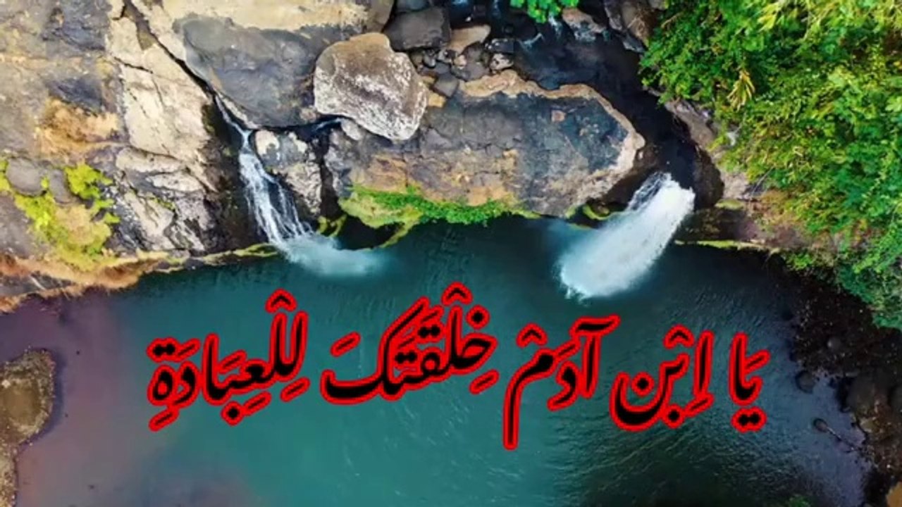 يَا اِبْن آدَمْ خِلْقَتَكَ لِلْعِبَادَةِ للشيخ محمد متولي الشعراوي