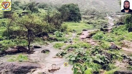 صلالة خضرة وضباب