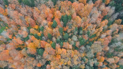 Çam Dağı’ndan büyüleyici manzaralar
