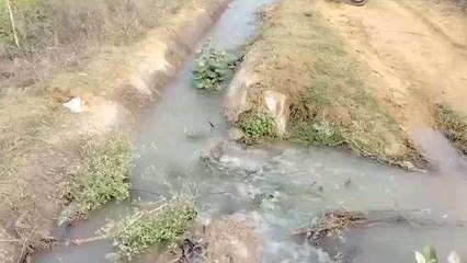 सवाई माधोपुर: ढील बांध की माइनर नहर टूटी, खेतों में भरा पानी, किसानों में आक्रोश