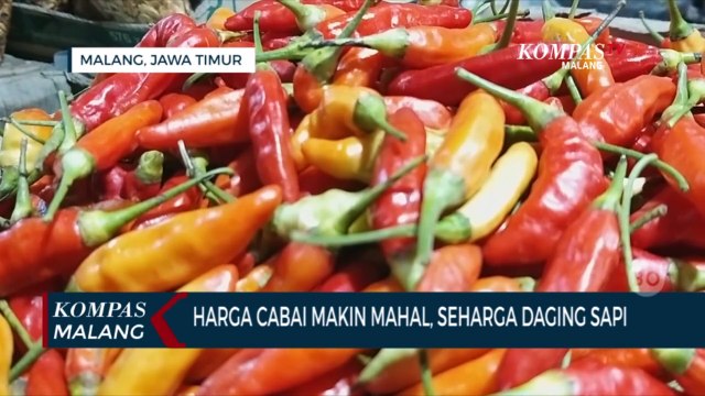 Masih Mahal, Harga Cabai Setara dengan Harga Daging Sapi