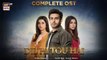 Dil Hi Tou Hai OST  | Hassan Hayat Khan | Yashal Shahid | ARY Digital