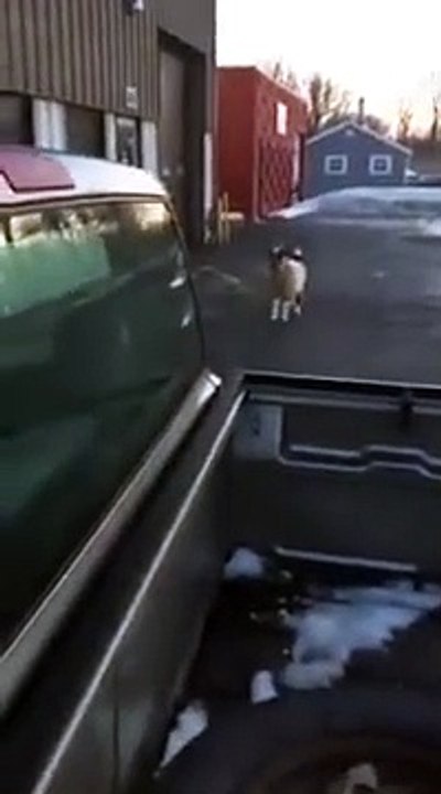 There's | funny | funny video | funny  videos 2023 | funny video download | funny videos short | funny videos for kids | funny video clips | funny videos 2023 tiktok | funny videos 2022 |  funny videos youtube