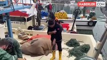 Zonguldak'ta Balıkçılar Limana 500 Kilogram Mezgitle Demir Attı