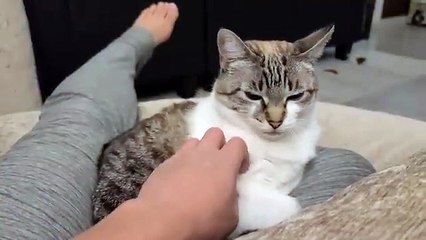 Leana Lovings - Teach Me Hard