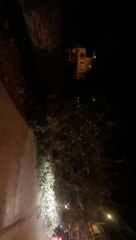 Lodos ağacı devirdi