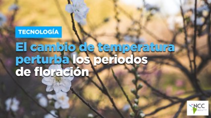 El cambio de temperatura perturba los periodos de floración