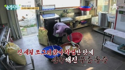 무릎이 아파도 일을 쉴 수 없다! 이갑자 씨의 무릎 통증 이유는?