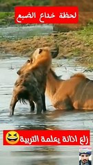 يا الهي شاهد القرون الحادة