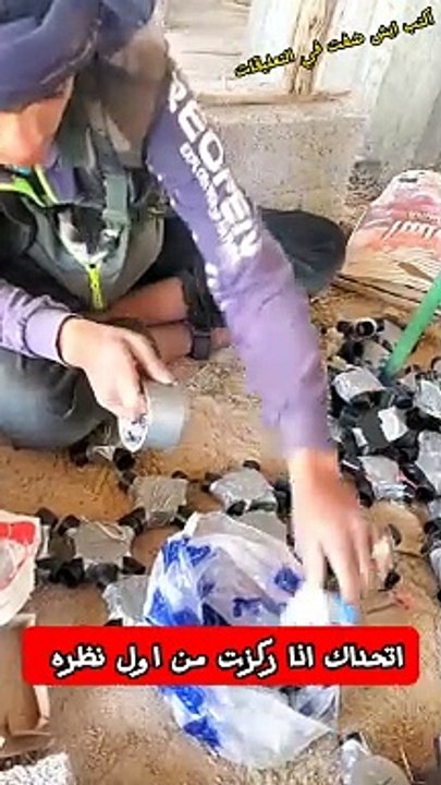 شاهد كيف تعمل القطة بجهد