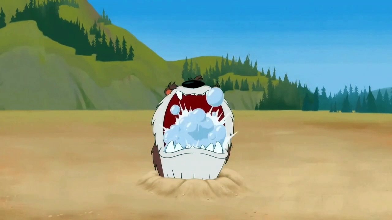 Taz Water Inflation