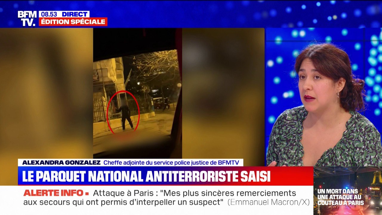 Attaque à Paris: en garde à vue, l'assaillant a évoqué "la persécution des musulmans en Palestine"