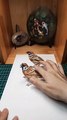 ❤️3d Drawing Birds _ Creative Drawing Ideas—Catch This Bird❤️#shorts #3dart #3ddrawing