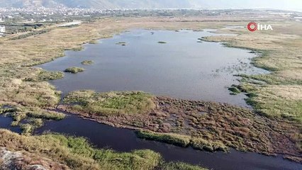 Kuruma noktasına gelen kuş cenneti kurtuldu!