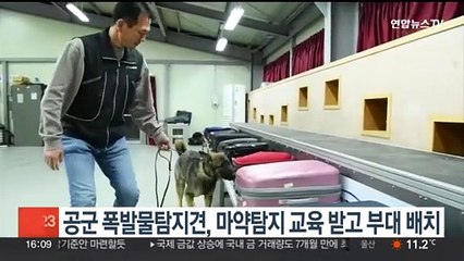 공군 폭발물탐지견, 마약탐지 교육 받고 부대 배치…전군서 최초