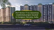 DLF Sector 77 Gurgaon
