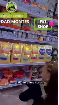 RECORRIDO POR ANIMALSCENTER LOS ESPERAMOS carrera 50 # 22-45surCiudad montesBogota-ColombiaClinica veterinaria ciudad montes#veterinaria #radiologiaveterinaria #veterinariasbogota #mascotas #ecografiaveterinaria #