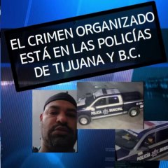 ¿En manos de quien está la Seguridad en Tijuana?