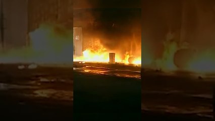 Ceren'den Şok Eden Hareket! | Beyaz Gelincik #shorts