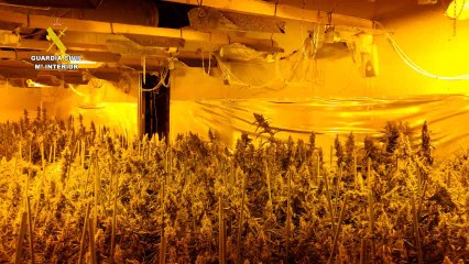 Macrooperación antidroga en Guadalajara: tres detenidos hallados en un túnel subterráneo