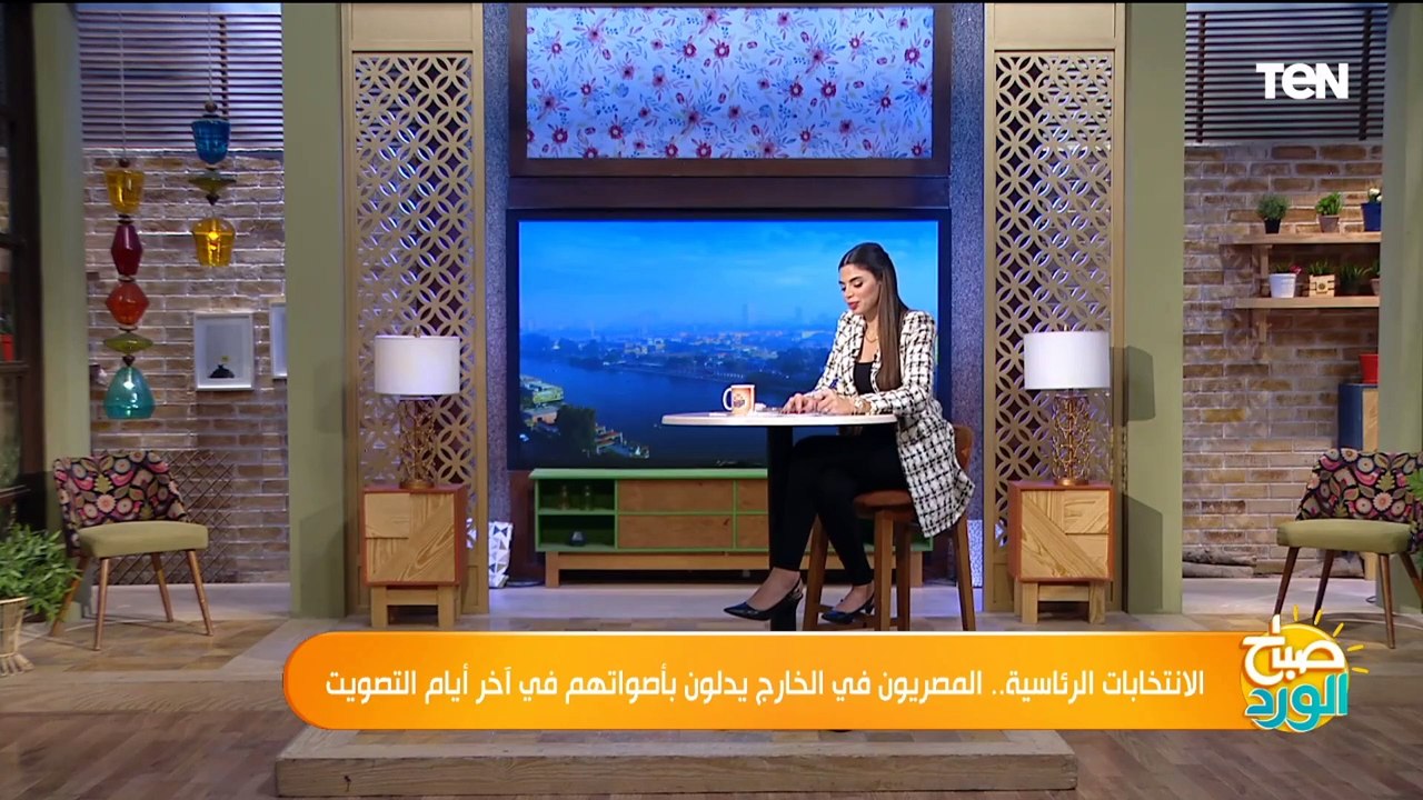 جميل عفيفي: مشاركة المصريين بالخارج في الانتخابات دليل على وعيهم بالتخديات التي تواجه الدولة