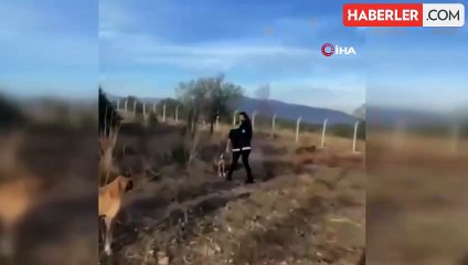 Dinar Belediyesi Sahipsiz Hayvan Bakım Merkezinde Skandal