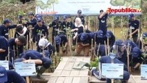 Cegah Dampak Perubahan Iklim, BPKH Lakukan Aksi Penanaman Mangrove