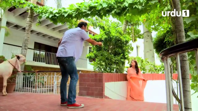 Bekar Bakra _ Eid ul Azha Special Telefilm _ Neelum Muneer _ Hina Dilpazeer _ Ahmed Hasan