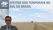 Chuvas causam prejuízos de R$ 3 bilhões à agricultura de Santa Catarina