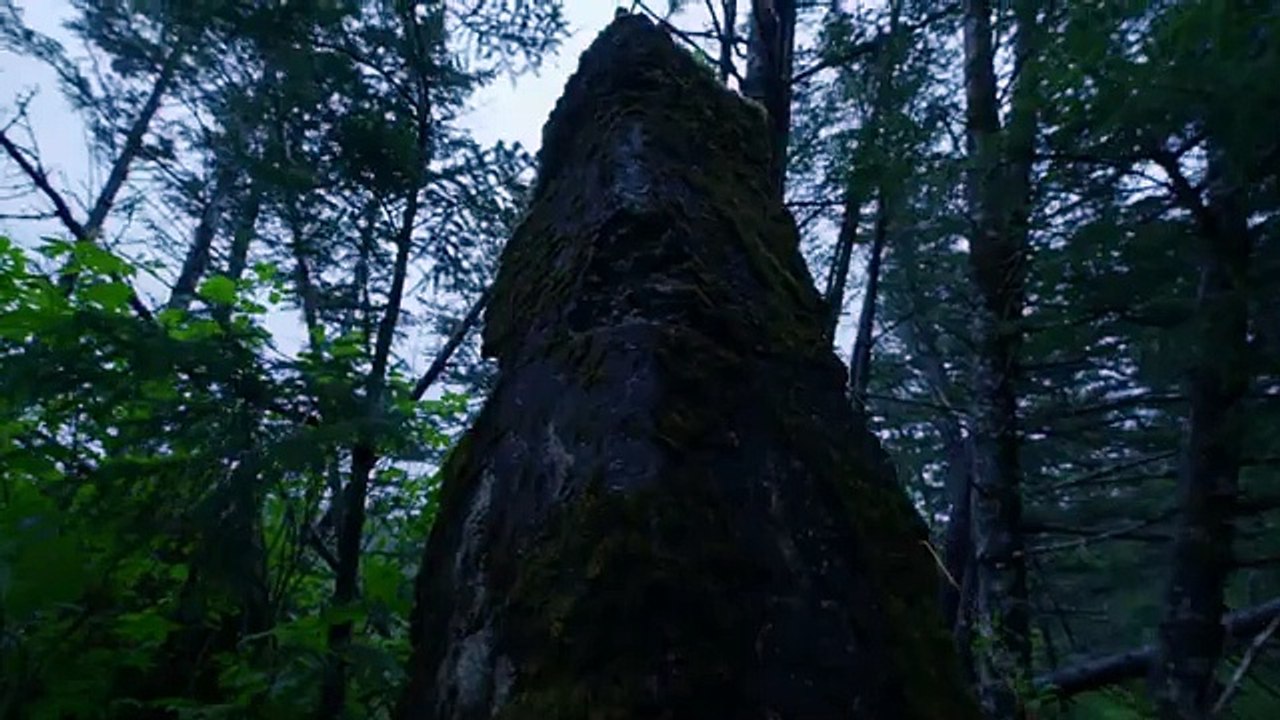 Alaska Killer Bigfoot S01E3 video Dailymotion
