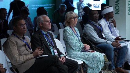 Papa pede união pela defesa do clima