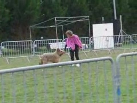 Concours obr evreux 2