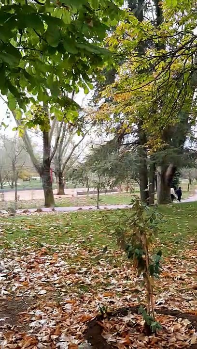 Le printemps a ifrane c'est le calme la réjouissante 