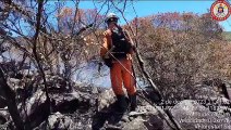 Cerca de 200 bombeiros atuam no combate a incêndios florestais na Bahia