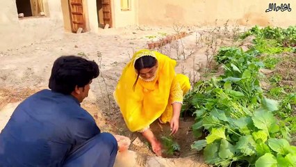 Work In Mud House with hubby  Aliza Sehar Vlogs