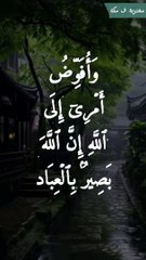 الاية الكريمة وَأُفَوِّضُ أَمْرِي إِلَى اللَّهِ#السعودية#قرآن #quran 1