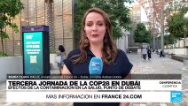 Informe desde Dubái: efectos de la contaminación en la salud, tema de debate en la COP28