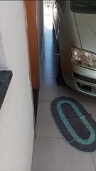 Bombeiros resgatam cobra que apareceu em residência no Sonho Meu 2