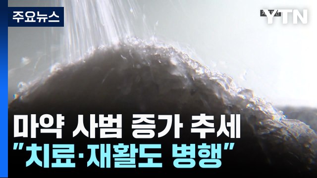 마약 사범 증가... 단속·처벌에 치료·재활 병행 / YTN