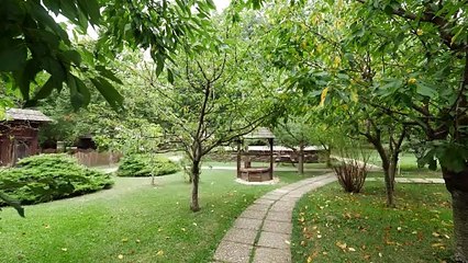 Steliana Sima - De ce ma doare inima