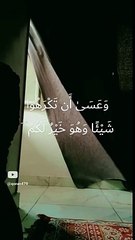 وعسي ان تكرهو شيئا وهو خير لكم__#قران_كريم #تلاوة_خاشعة #shorts