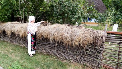 Steliana Sima - Dragostea-i poveste veche