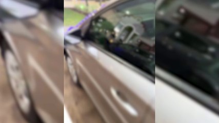 Tutor aparece após deixar dois cachorrinhos trancados dentro do carro