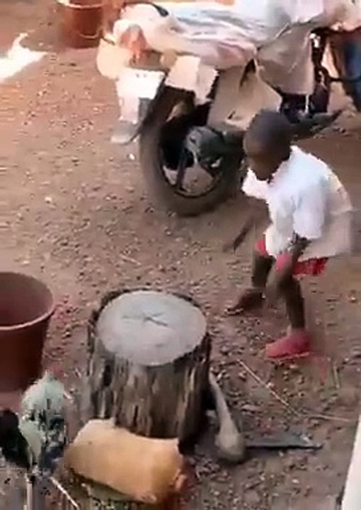 VID-20230622-WA0032