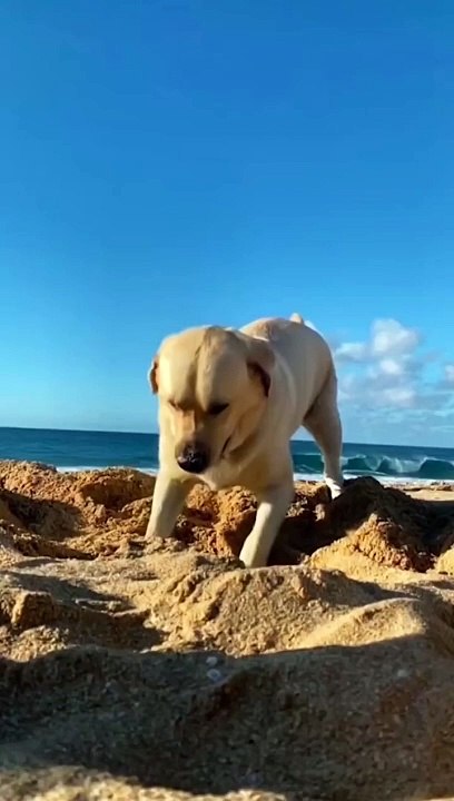 First time going to the sea