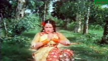 Wajia Dang Ishq Da Sajna (Noor Jahan,Akhri Jang) With Maria Gold Jhankar