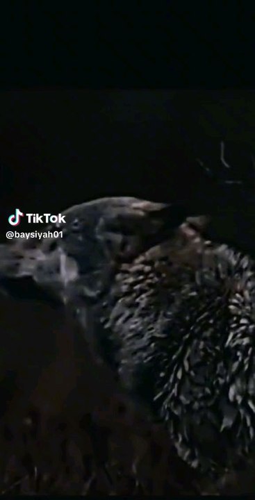 Voici ma nouvelle vidéo