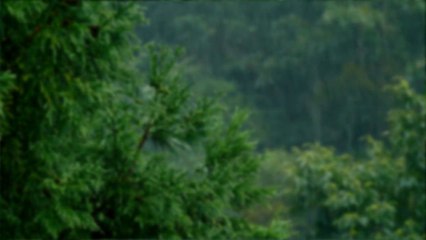 Sweet Dream_ - Relaxing Sleep Music & Soft Rain, Piano Chill   -  Music Therapy