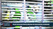 Polisi Gagalkan Penyelundupan Ratusan Ekor Burung Dilindungi