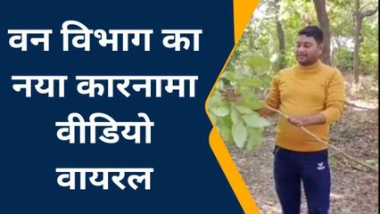गाजीपुर में वन विभाग का नया कारनामा! देखिए वायरल वीडियो